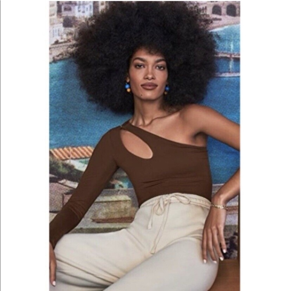 NWT Reformation One Shoulder Long Sleeve Falls Top In Chesnut Size S Brown